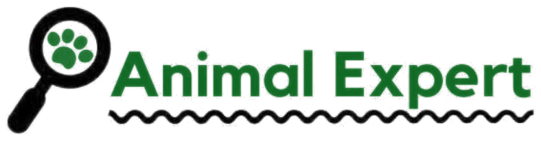 Animal Expert — الأفضل لرفيقك