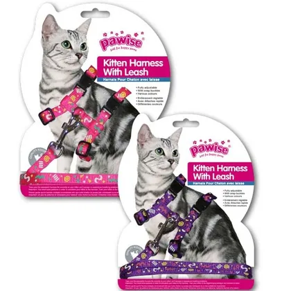 Pawise Kitten Harness with Leash, Pink/Purple