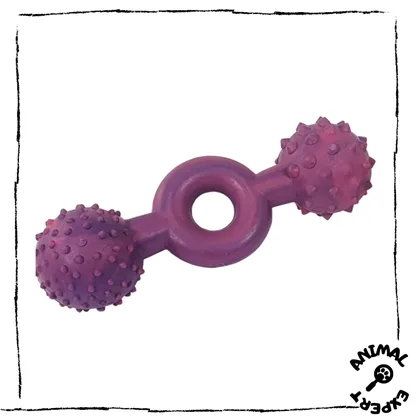 Purple Rubber Ring Dumbbell Dog Toy