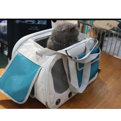 White and Blue Cat Carrier Bag