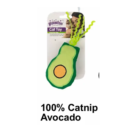 Pawise Avocado Catnip Toy, Green