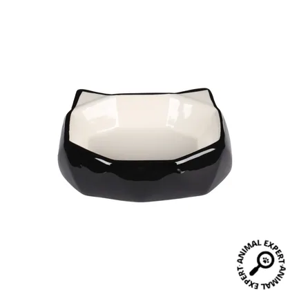 Black & White Ceramic Bowl for Food