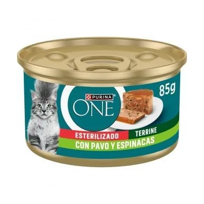 Purina ONE Turkey & Spinach Cat Food, 85g