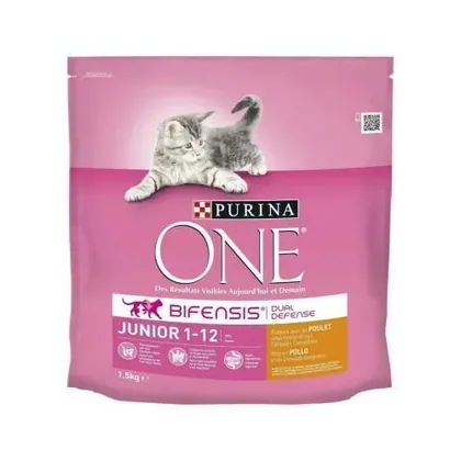 Purina One Junior Xcats Dry