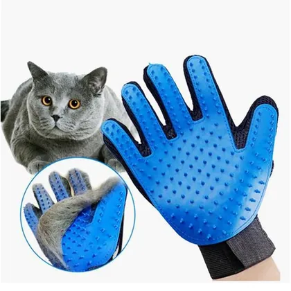 Brosse Chat et Chien Blue Grooming Brush