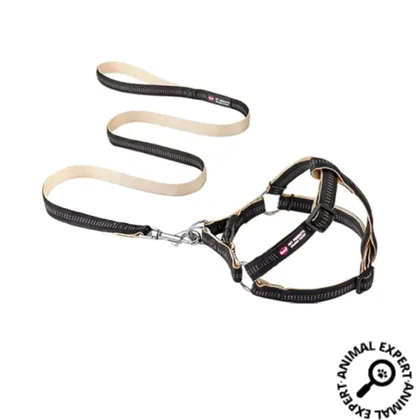 Premium Comfortable Leash & Harness Set, Medium