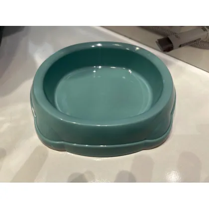 Galekle Turquoise Anti-Skid Bowl, Small