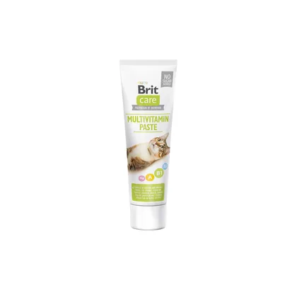 Brit care multivitamin paste 100g